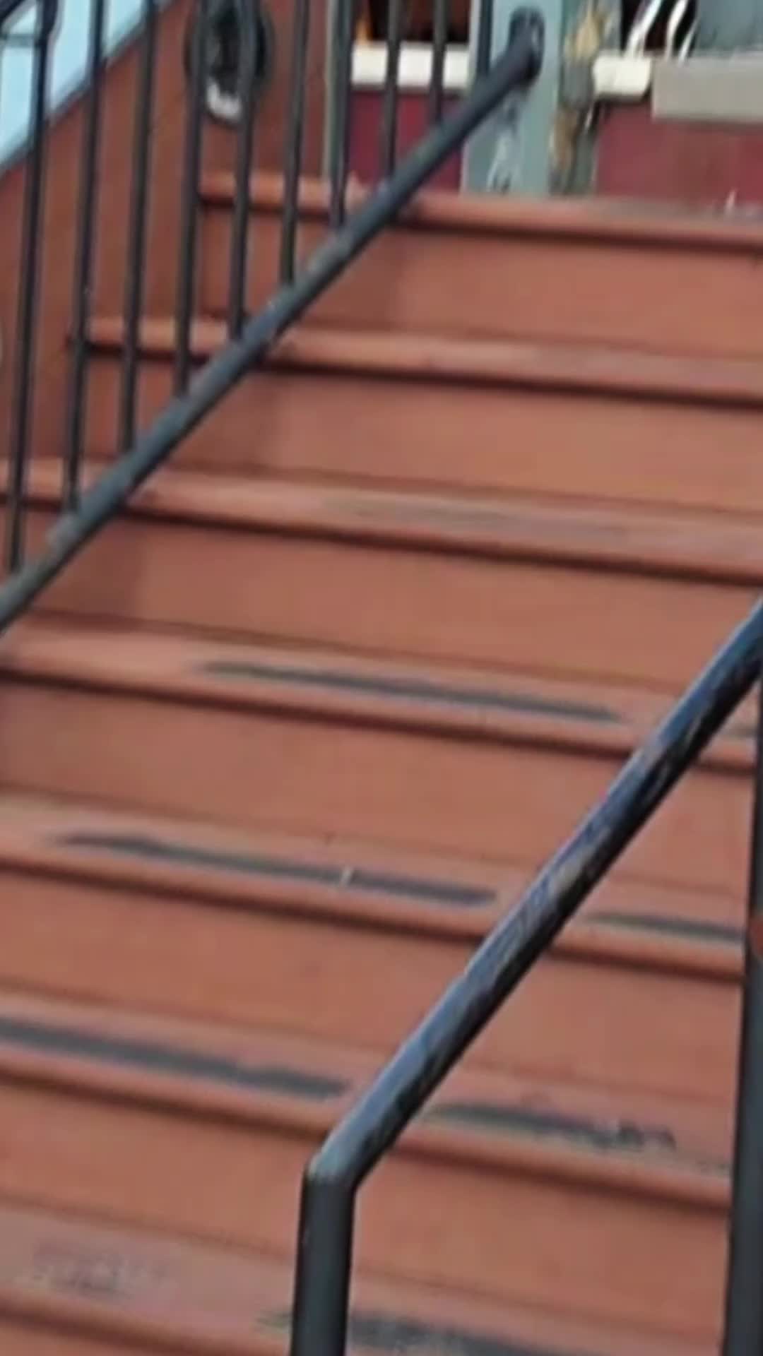 @𝙆𝙄𝙉𝙂 𝙊𝙁 𝘼𝙁𝙍𝙄𝘾𝘼