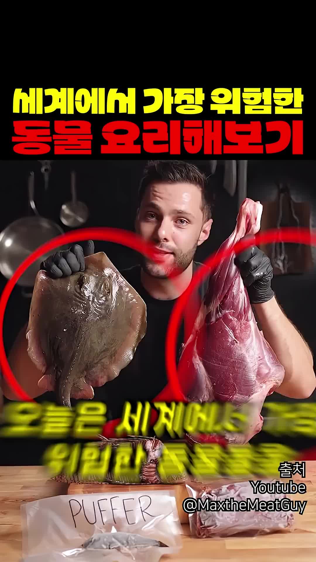 @짱아까미