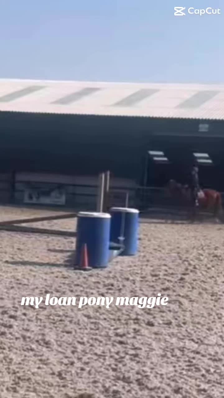 @Maggie + millie = ❤️ 💖 💓