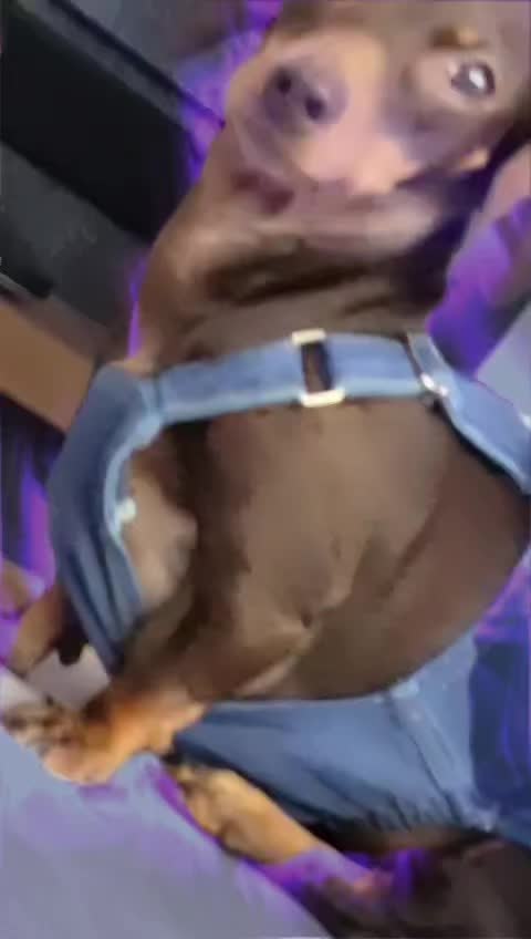 @owen🧠