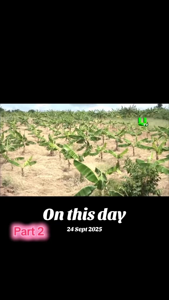 @Agogo Connected
