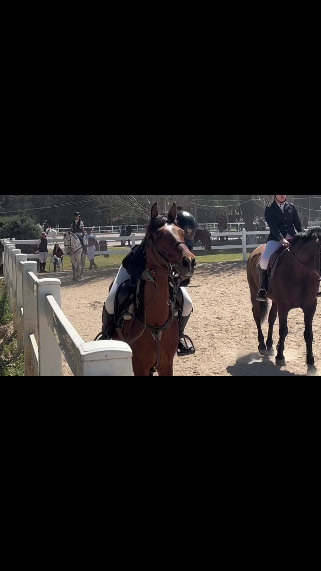 @lilaa 🏇🫀