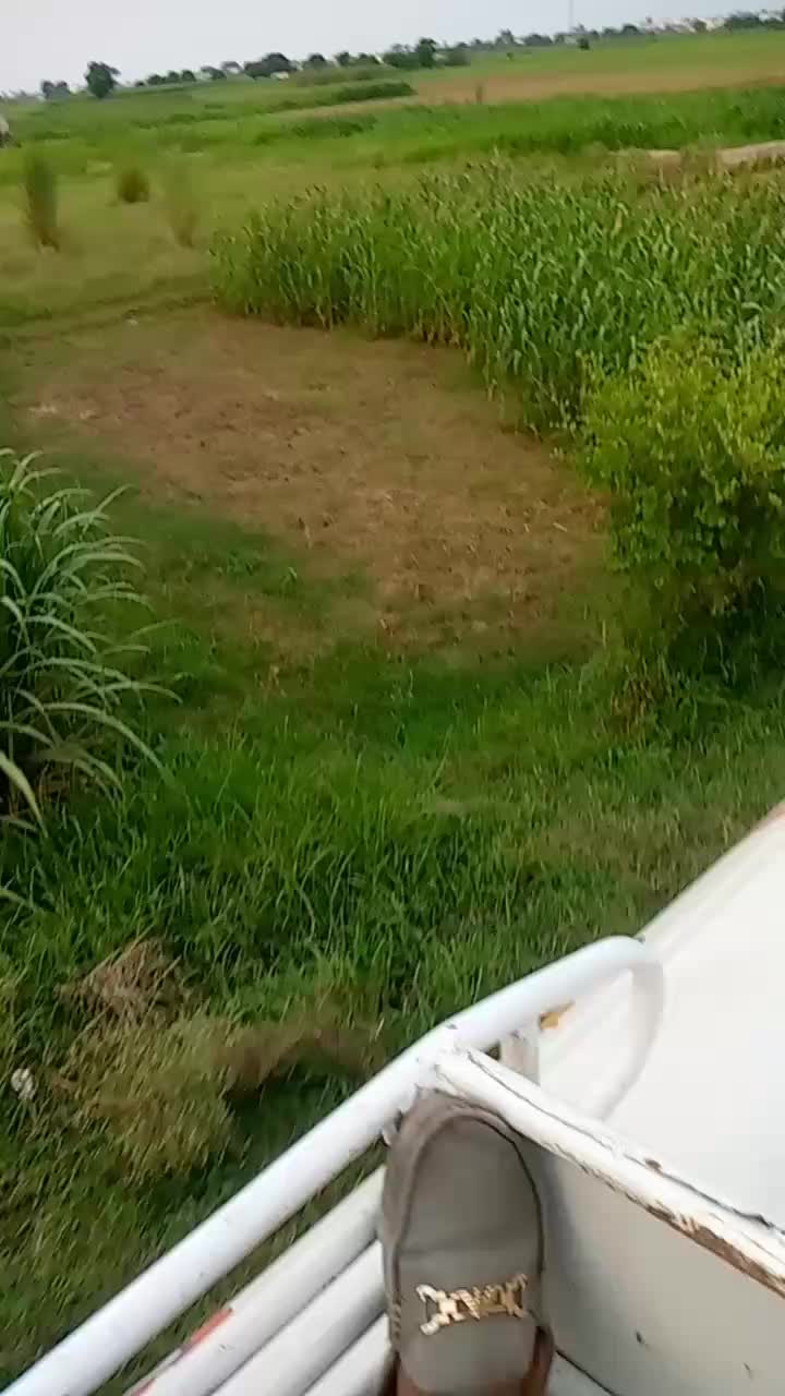 @wajid ali bop