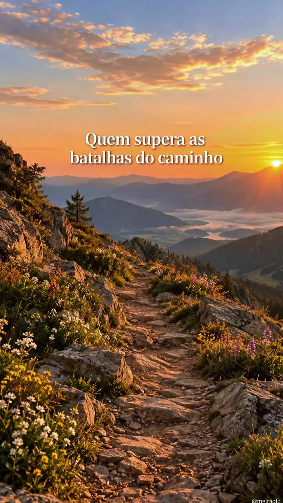 @Meiraofc