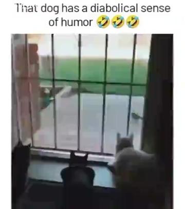 @&alpha;&eta;&alpha;ѕ 🃏