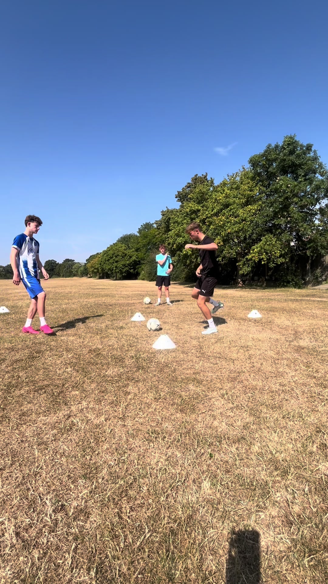 @Evolve coaching