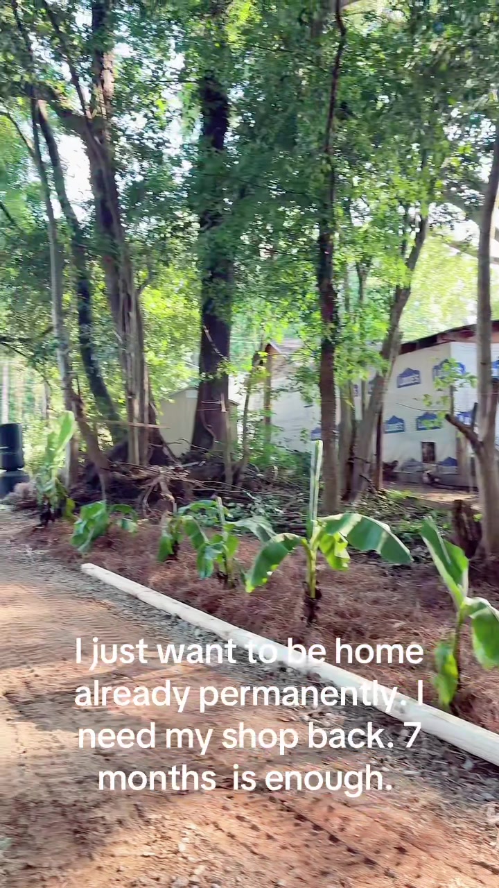 @El moyo