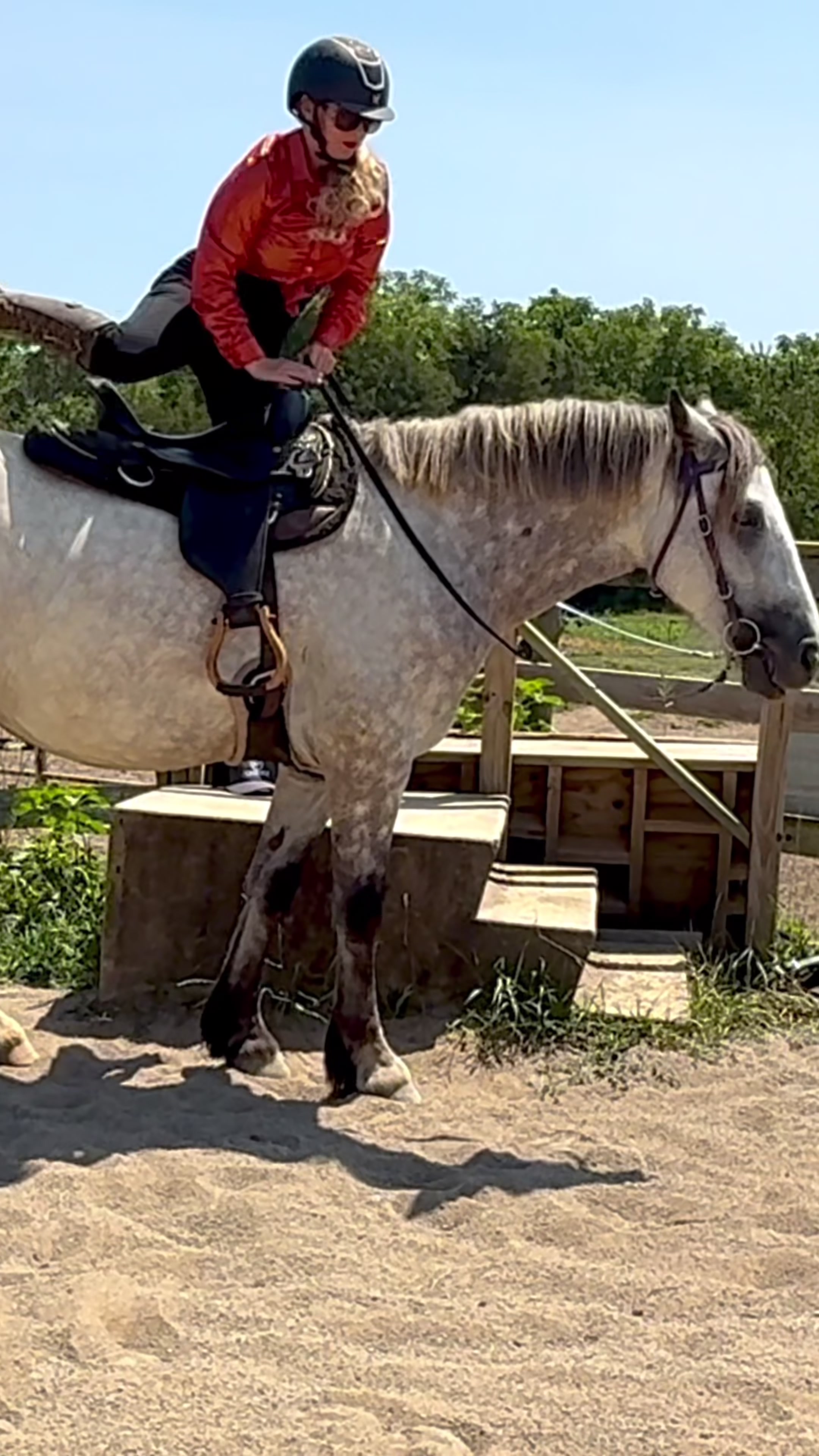 @Free Spirit Equestrian