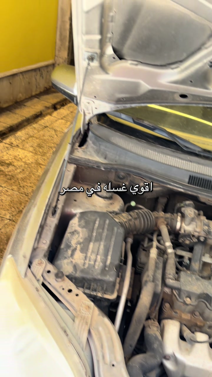 @Mina adel🚗