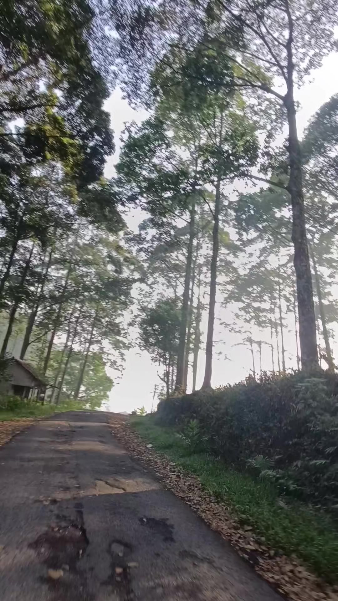 @ieuenohhhhh