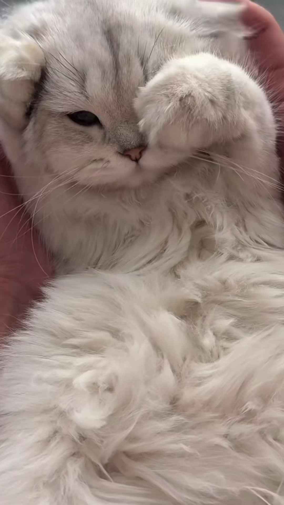 @My Daily Dose of Aww