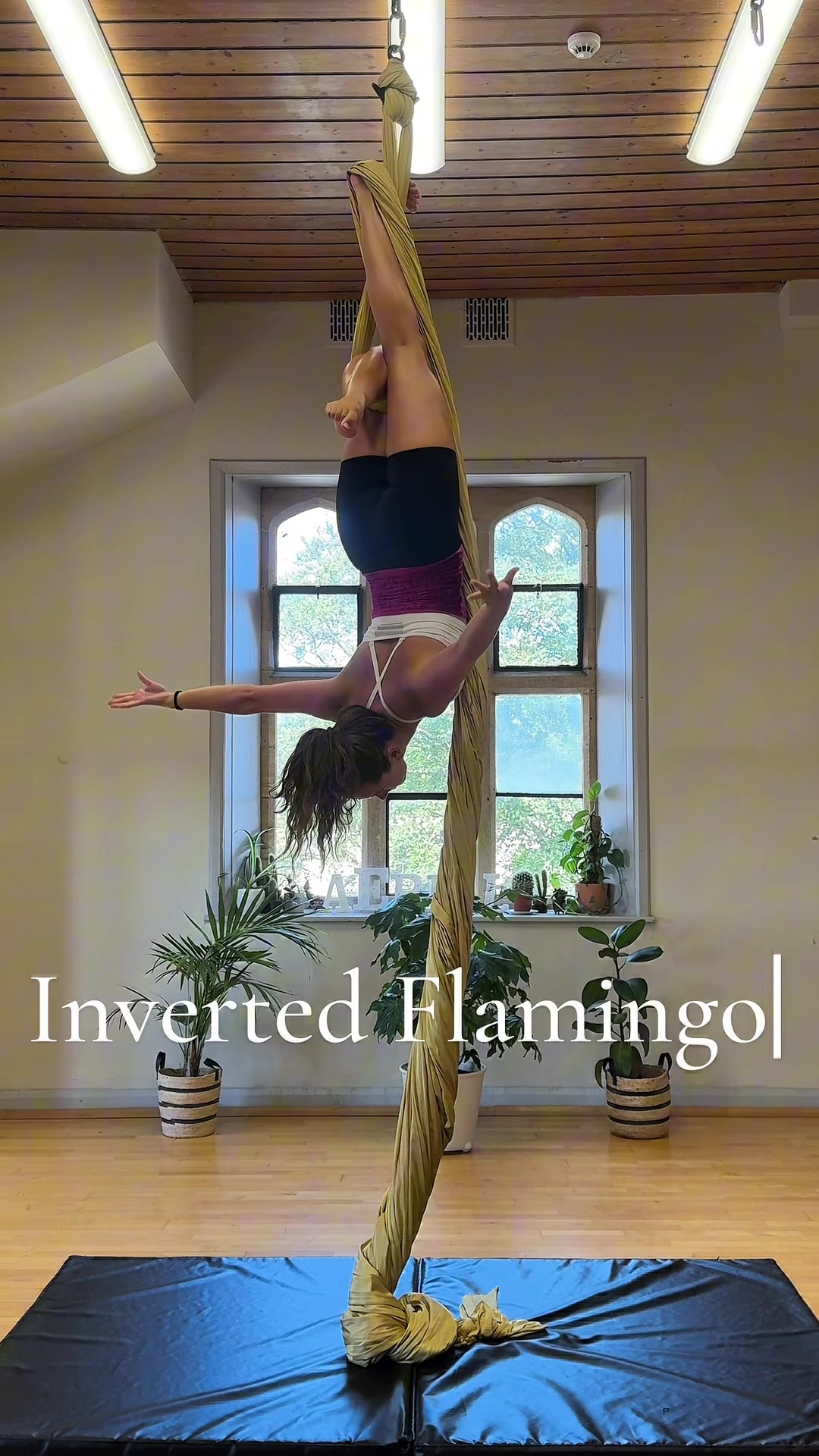 @Jemma | Aerialist