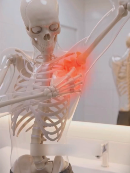 @skeleton adventures