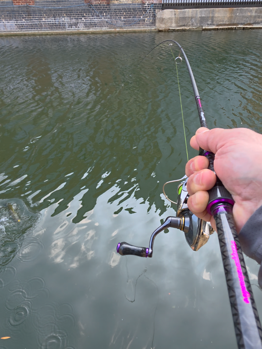 @BF Angler