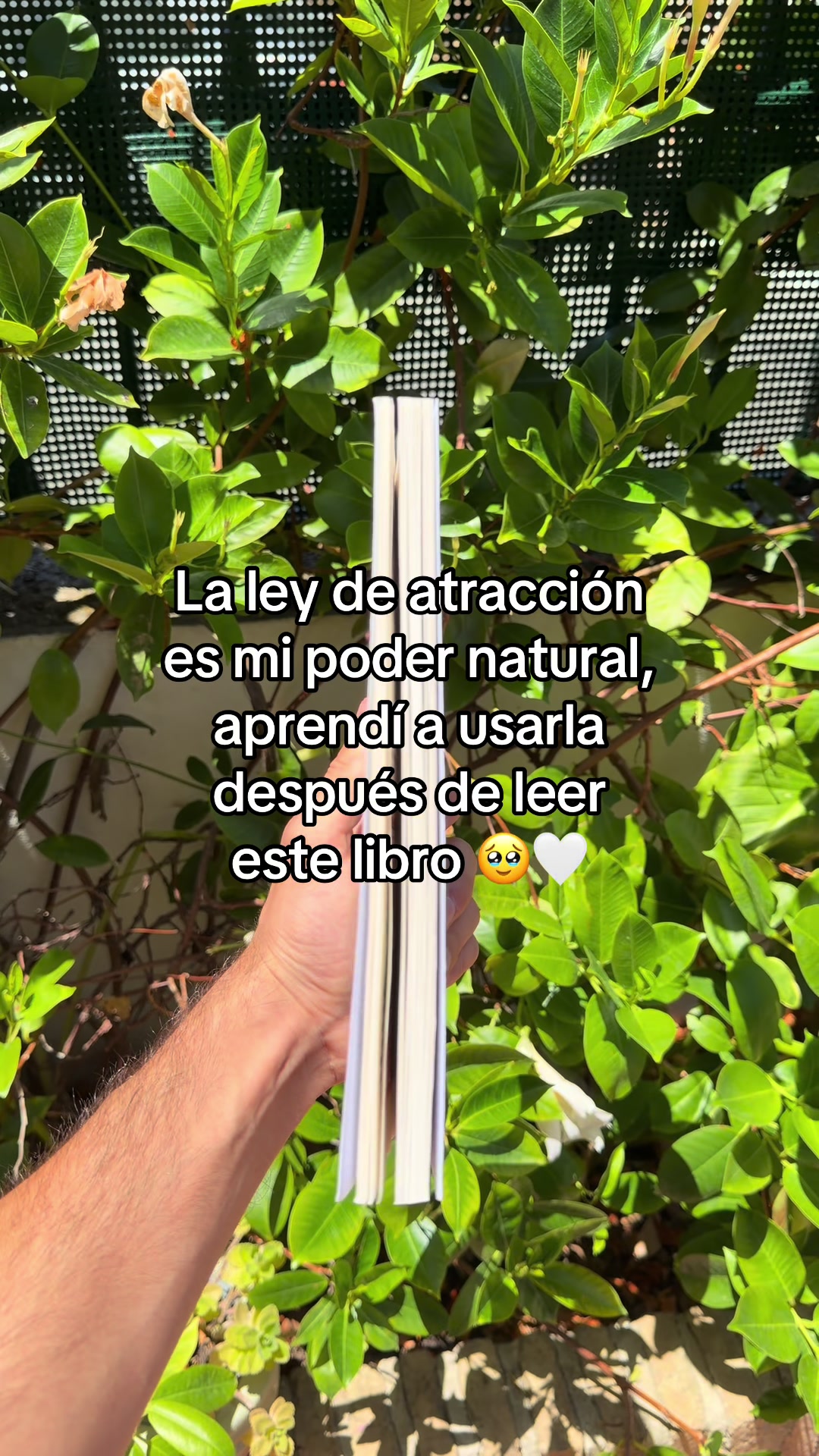 @Cómo Controlar la Energía