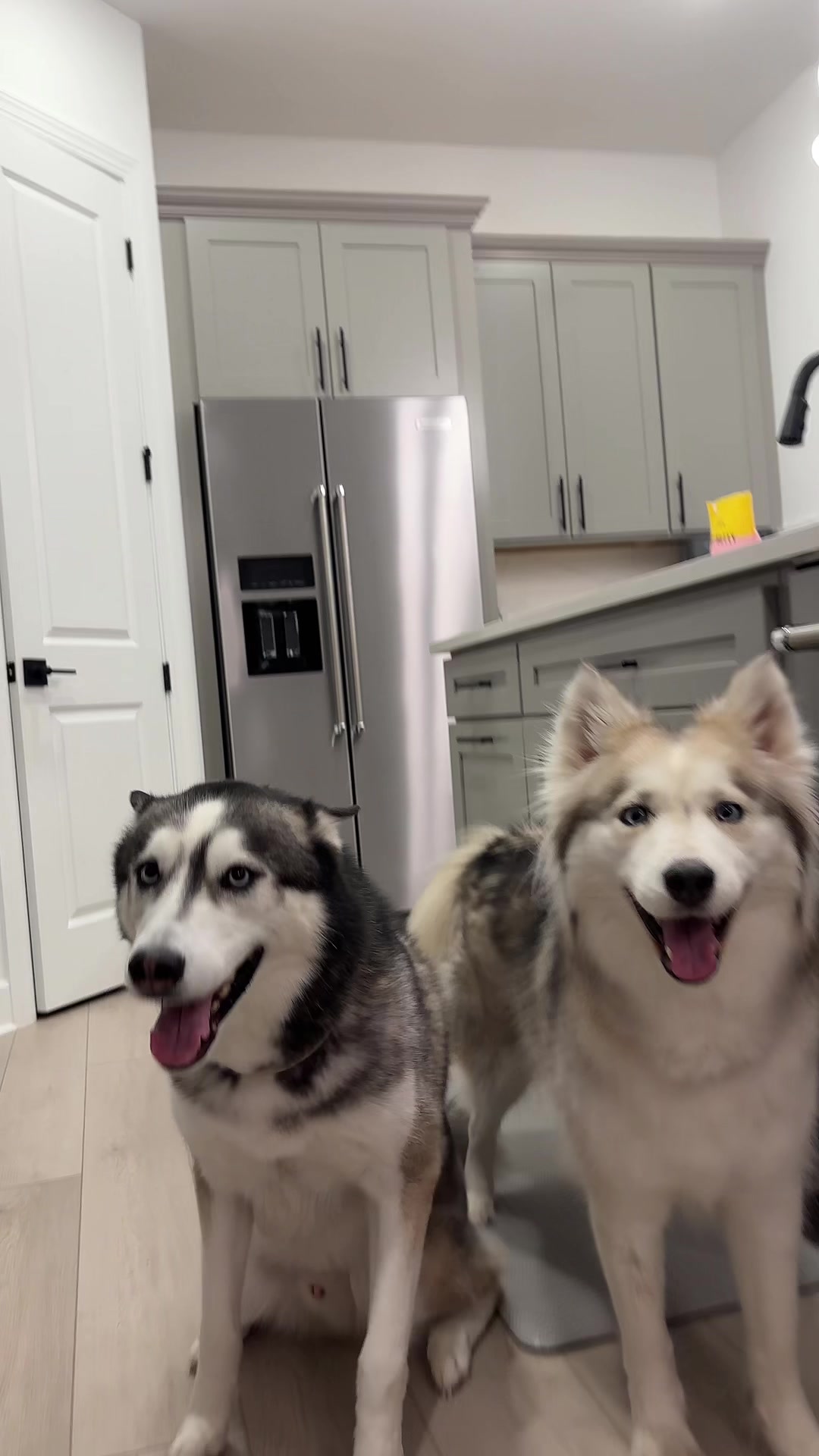 @lifewith2huskies