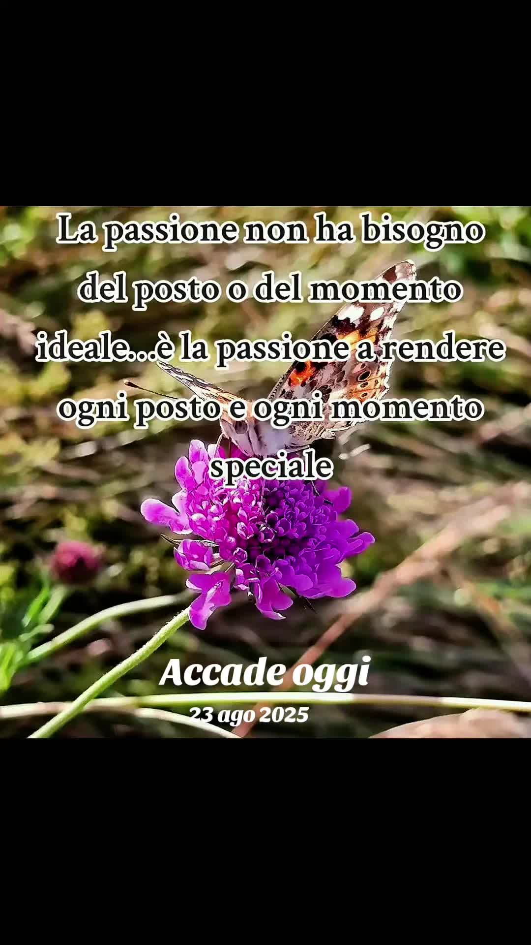 @✨Peppe_Essenza✨