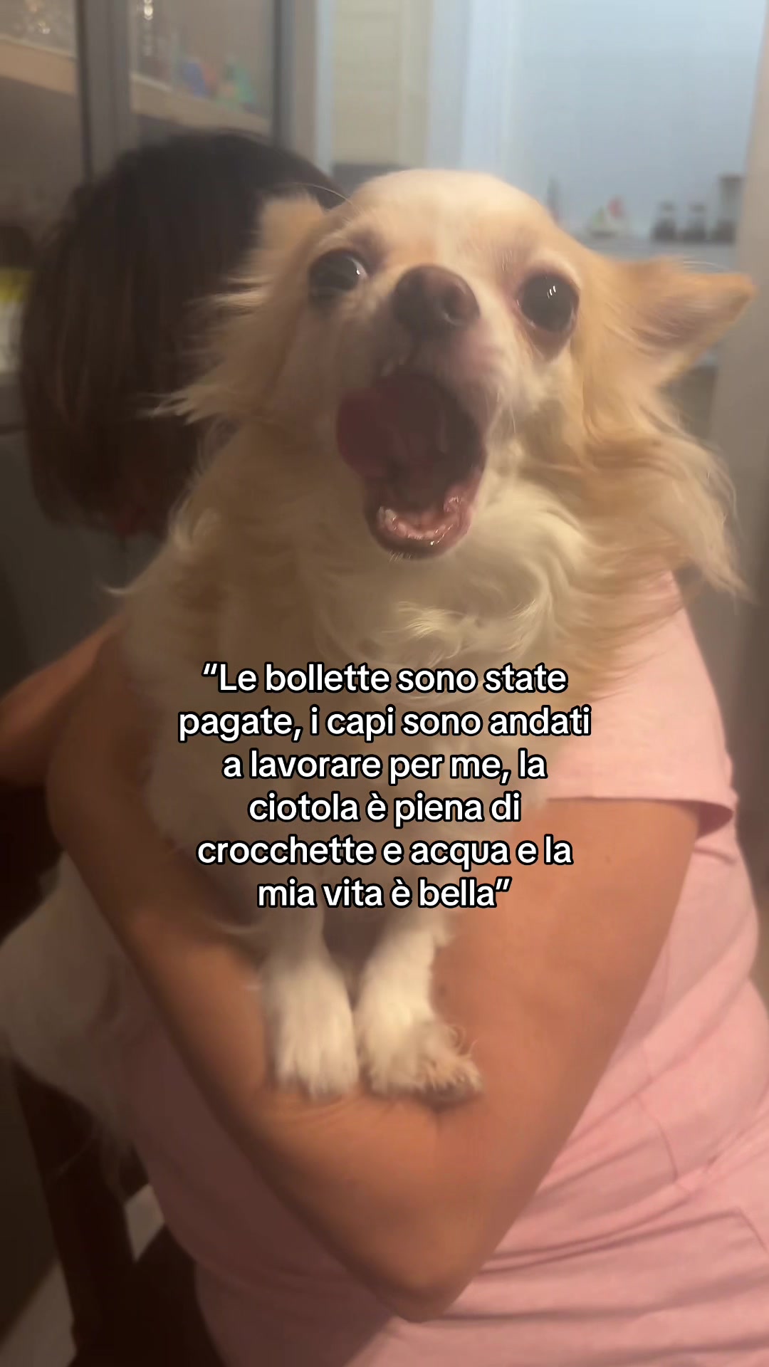 @Francy26