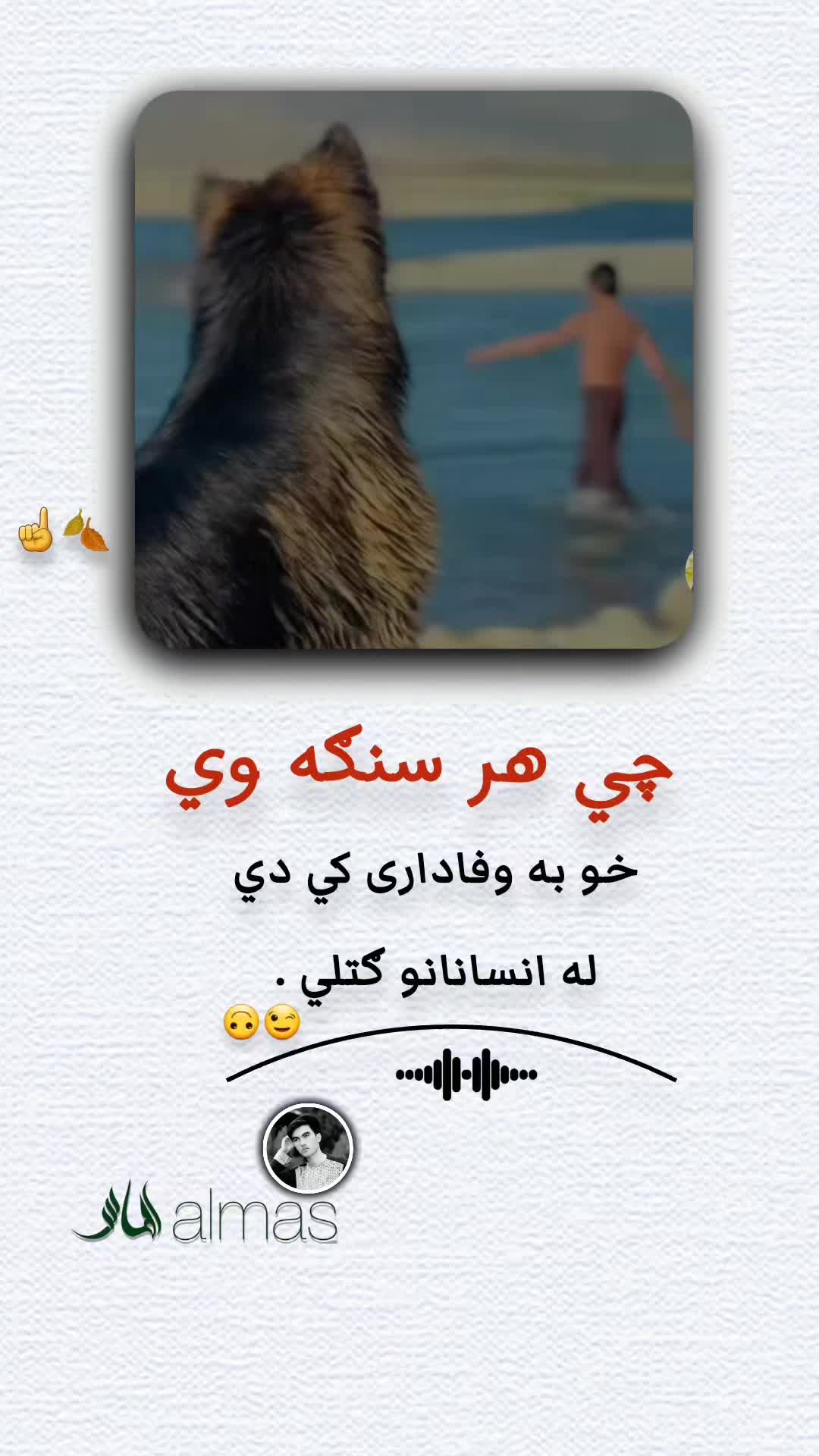 @𓆩𝐀𝐥𝐦𝐚𝐬 𝐉𝐚𝐧𓆪