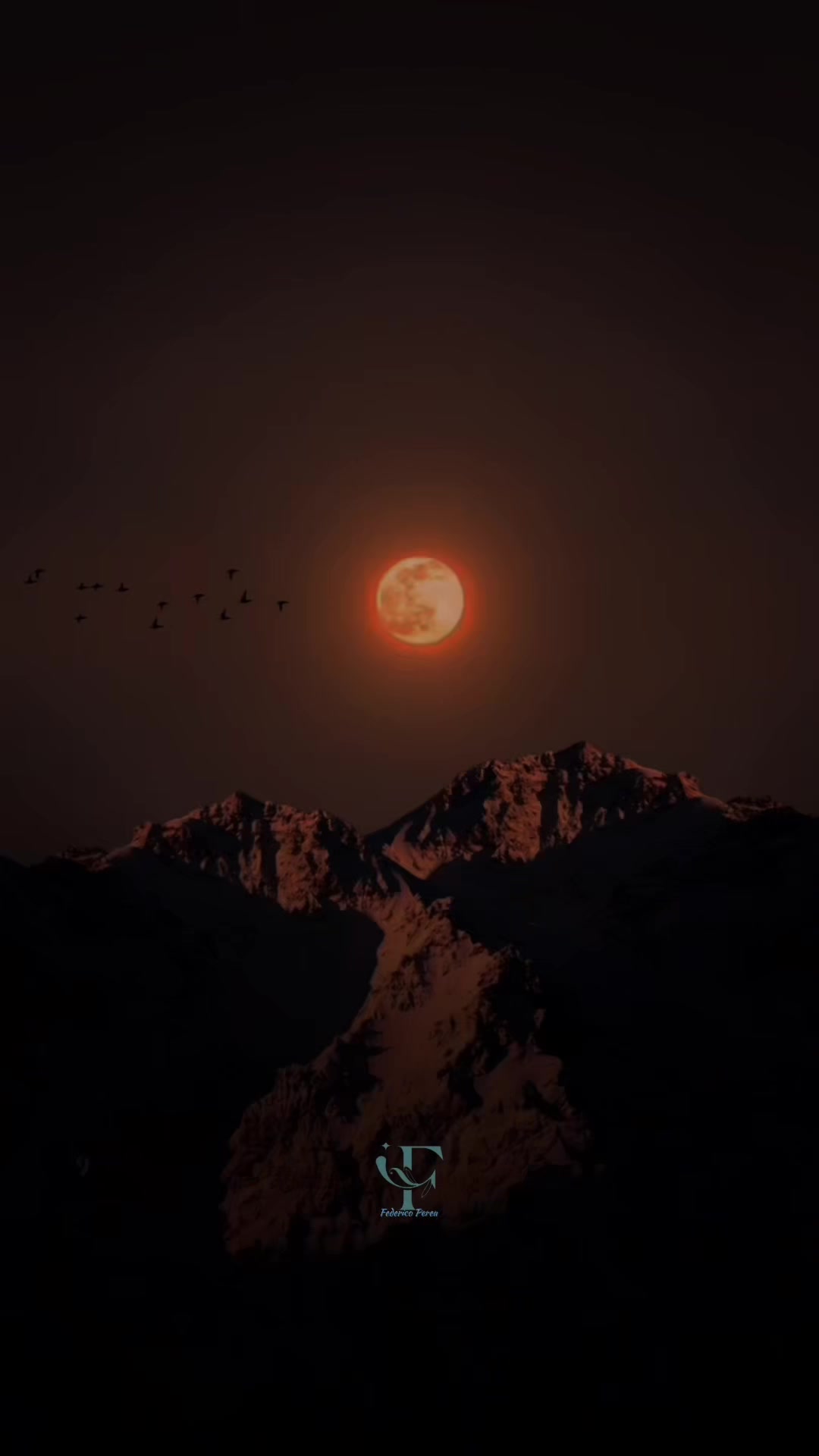 @𝕱𝖊𝖉𝖊𝖗𝖎𝖈𝖔 𝕻𝖊𝖗𝖊𝖆 ✮
