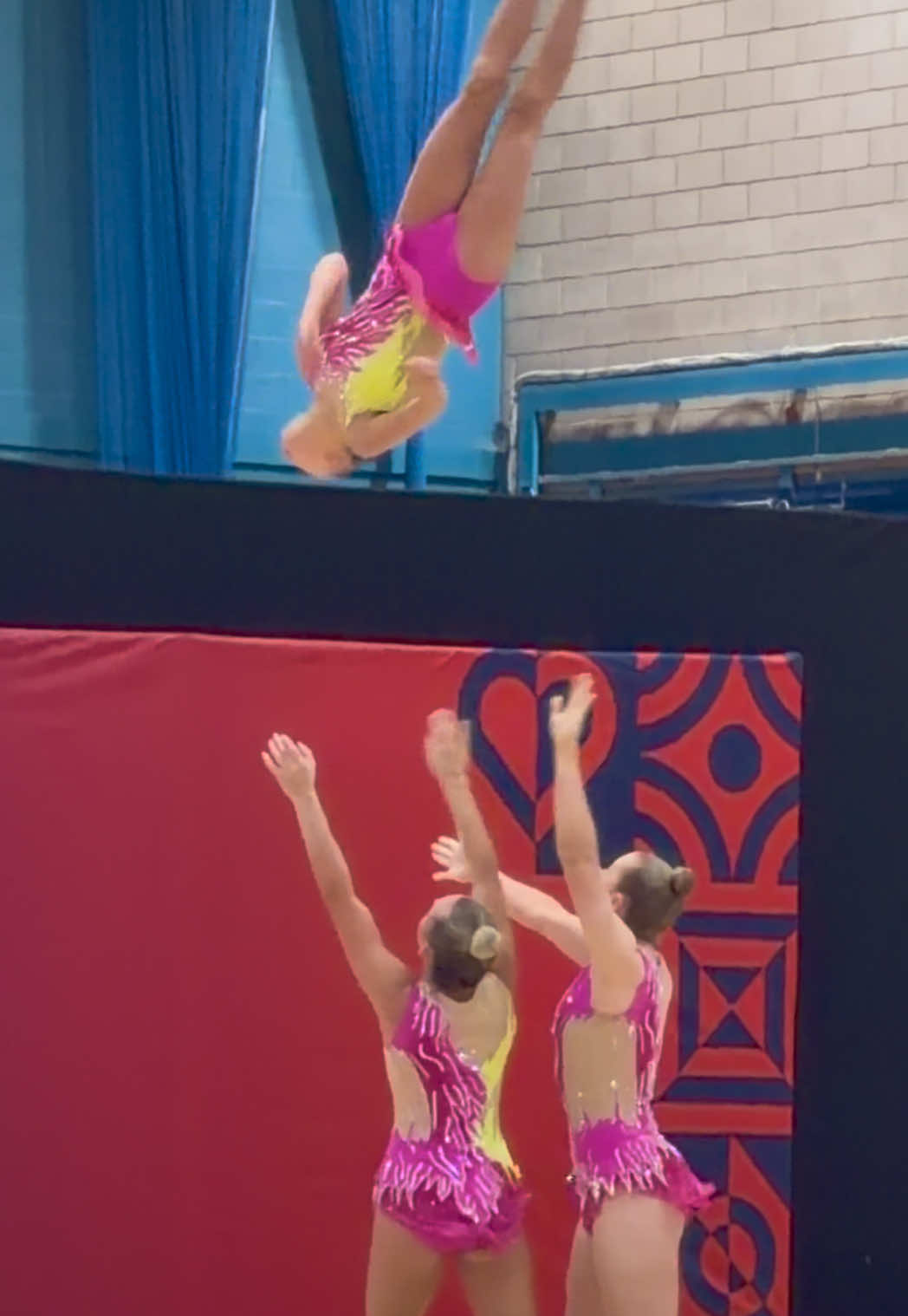 @acrogym.tv