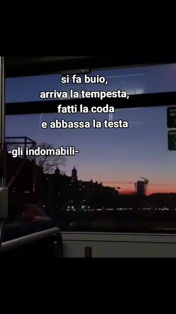 @s_c_o_p_a_m_i_26