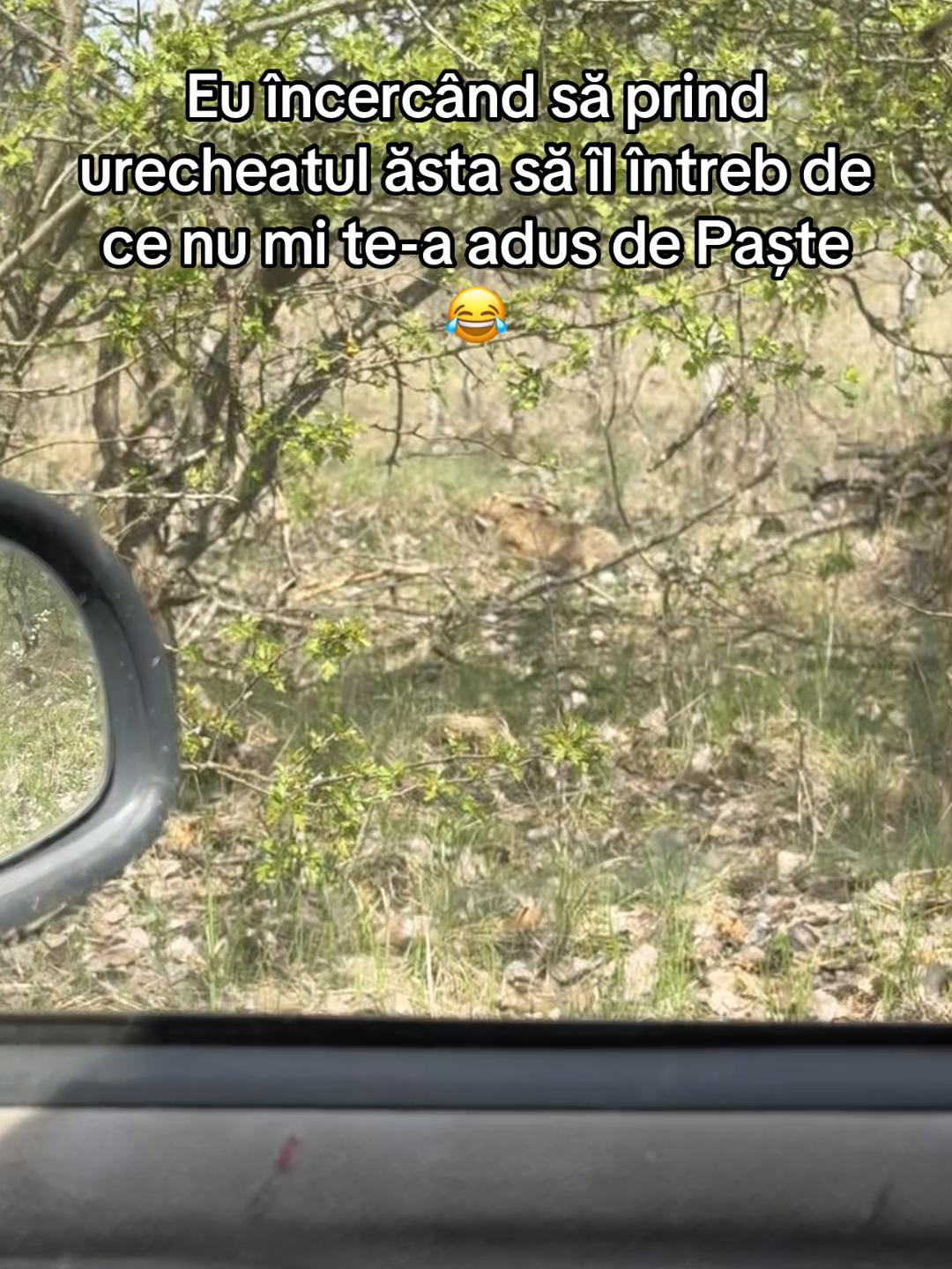 @𝕆𝕝𝕒𝕣𝕦 𝔸𝕟𝕕𝕣𝕖𝕚
