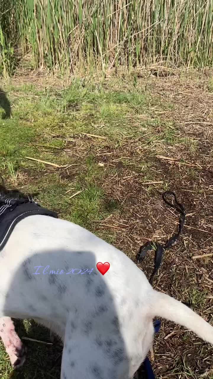 @Ilaria Urbani