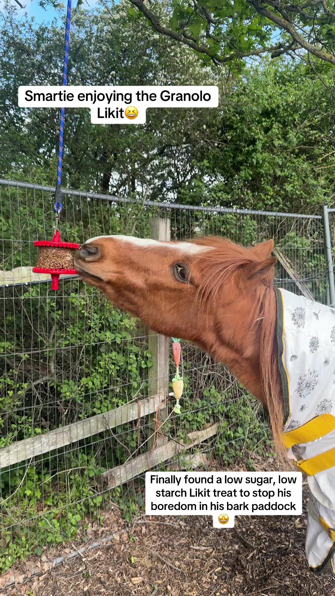 @Charlotte.Equestrian