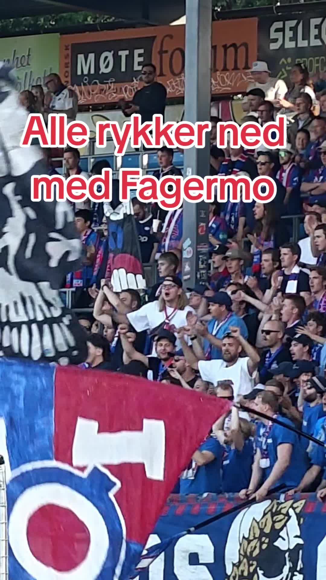 @frofoto