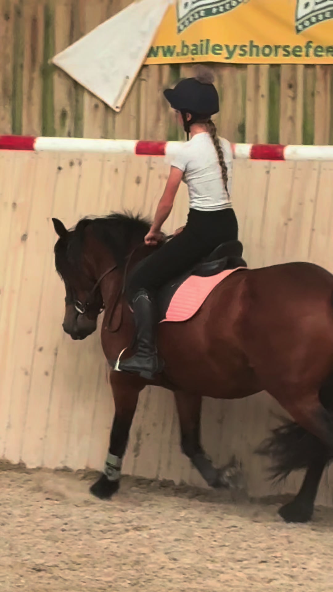 @poppy 🌾🐴 🇬🇧
