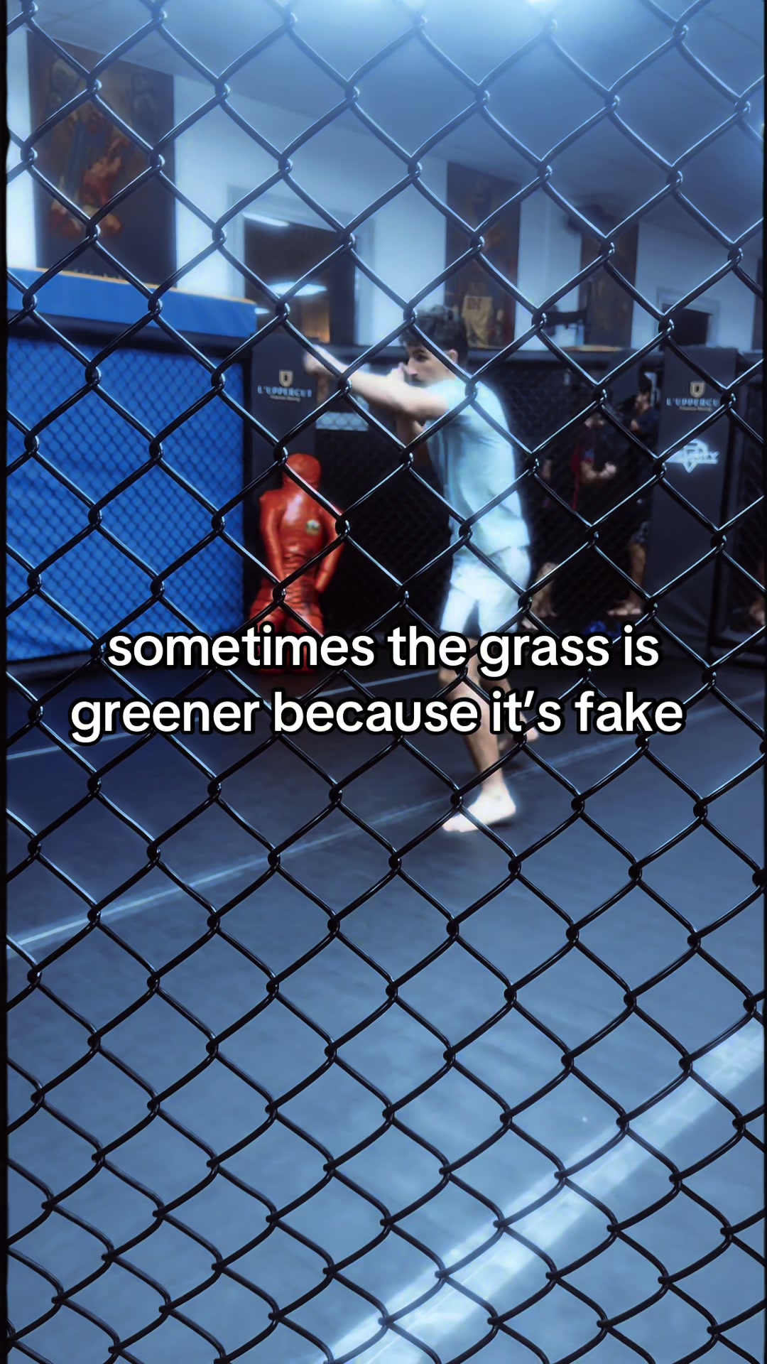 @orlandomma