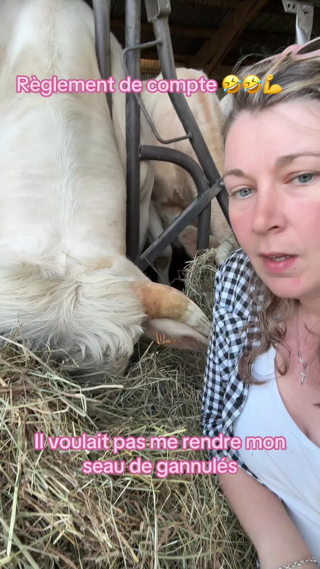 @ᏦᎥᎥᏦᏗᏗ 🌾🚜🐮
