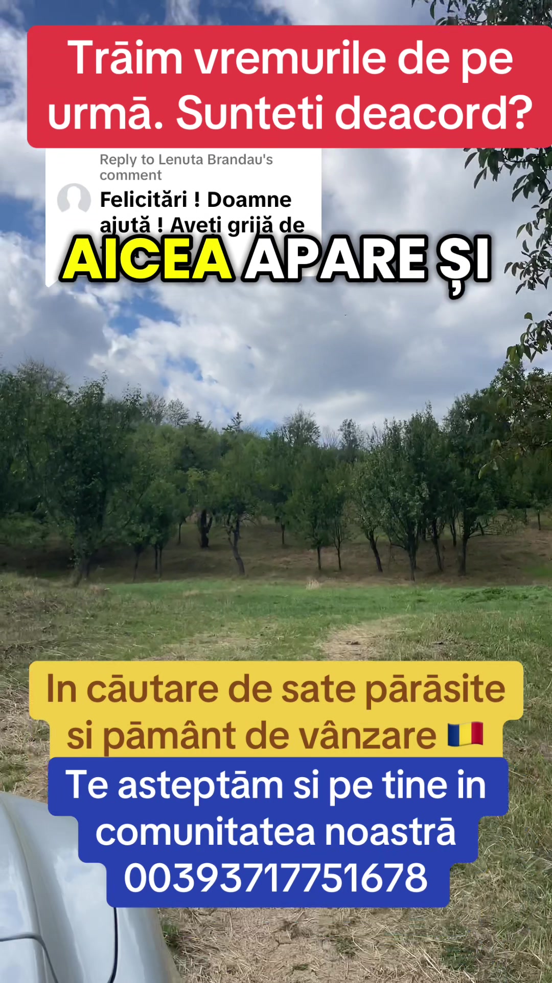 @Mos Craciun