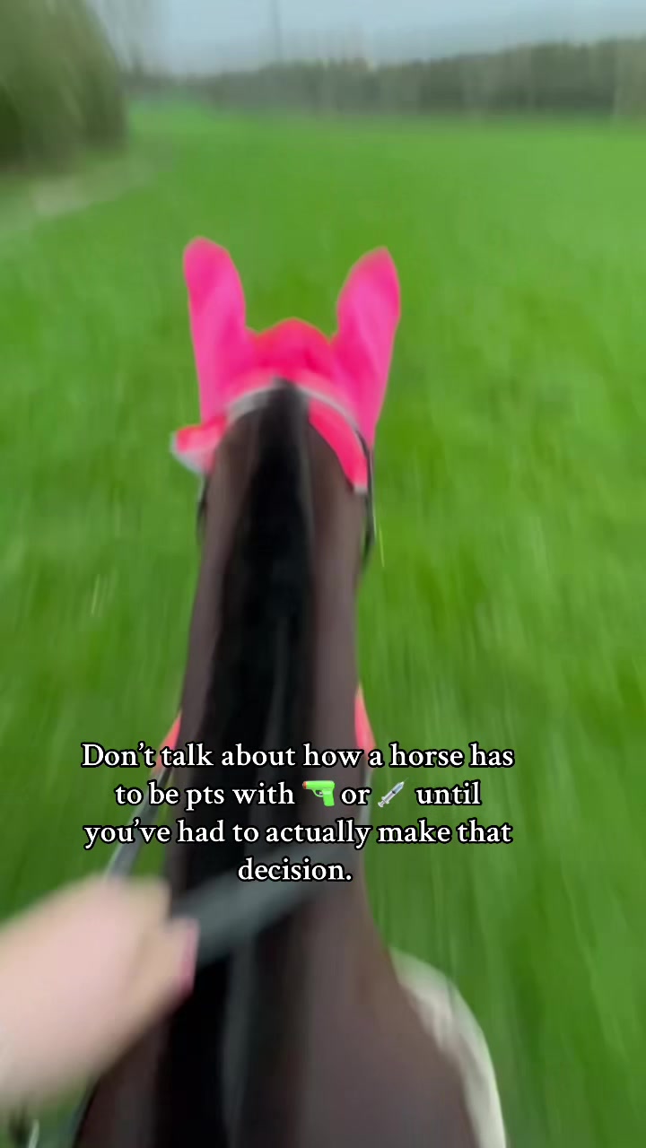 @Stella
