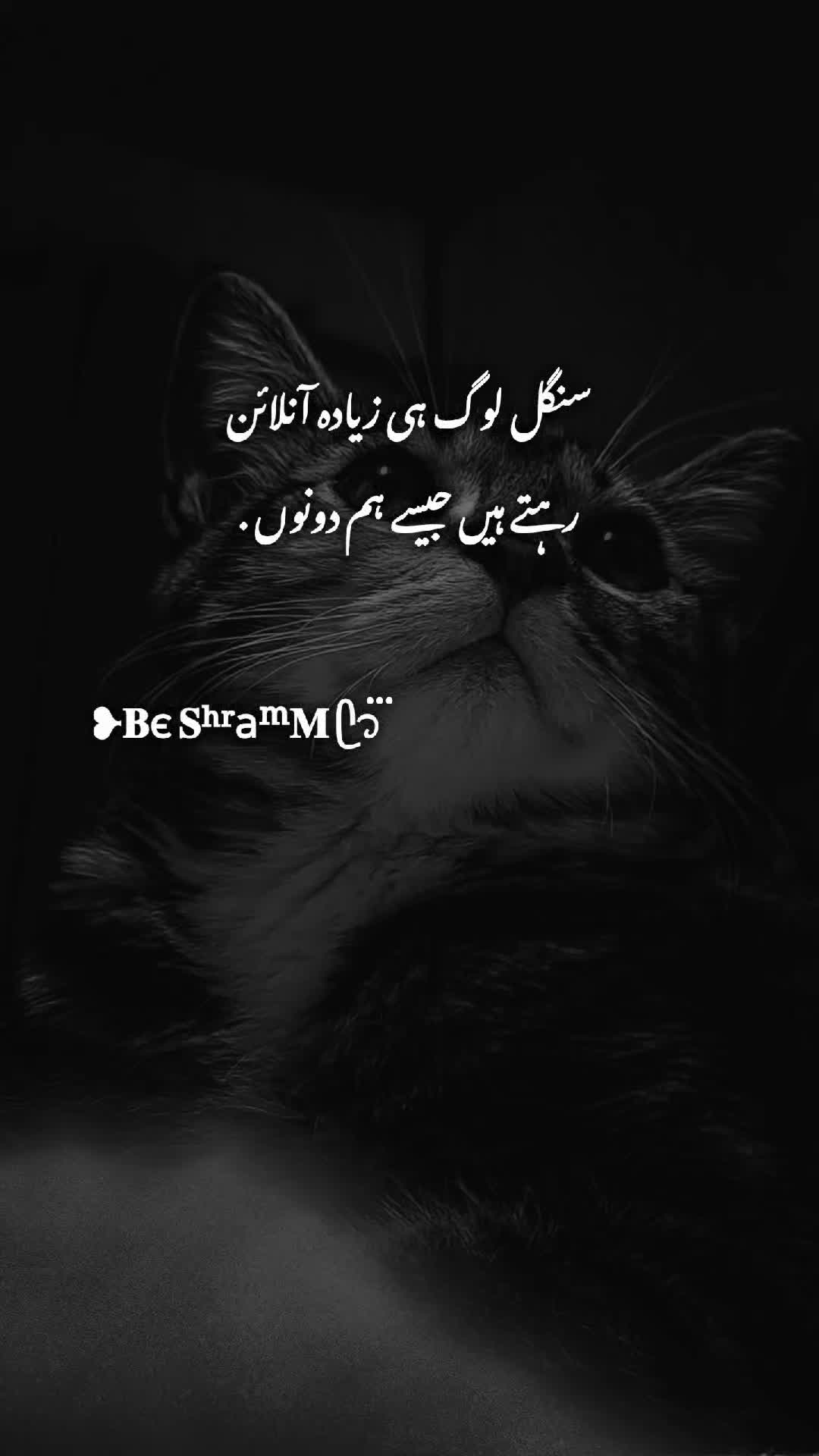 @❥𝐁є 𝐒ʰʳaᵐ𝐌 ᥫ᭡፝֟፝֟
