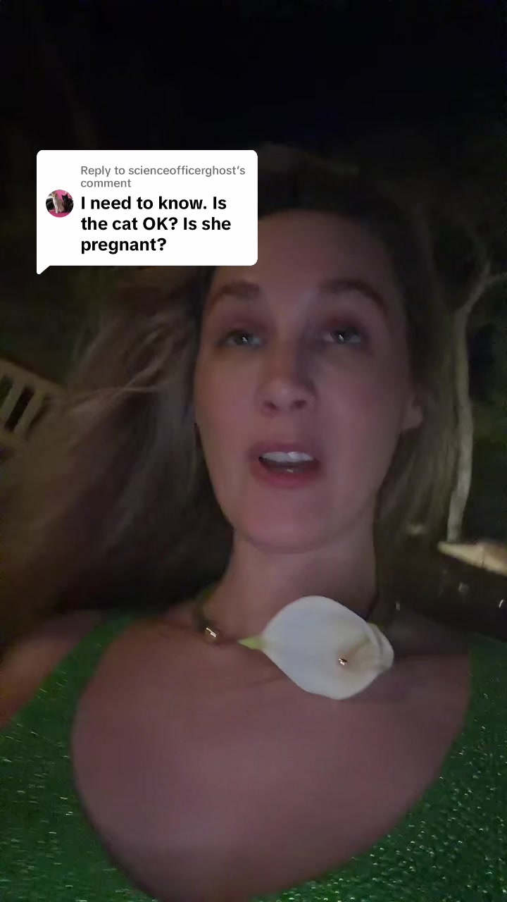@eefjeuh