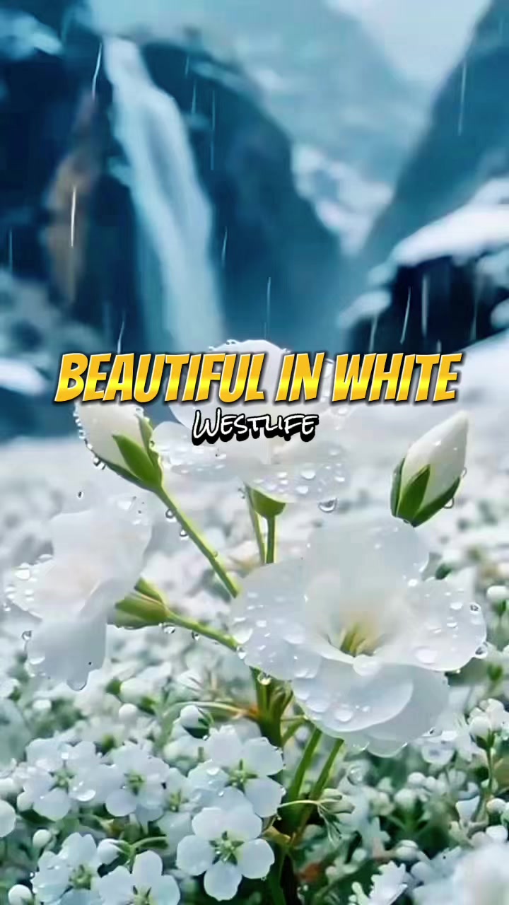 @MySongBook