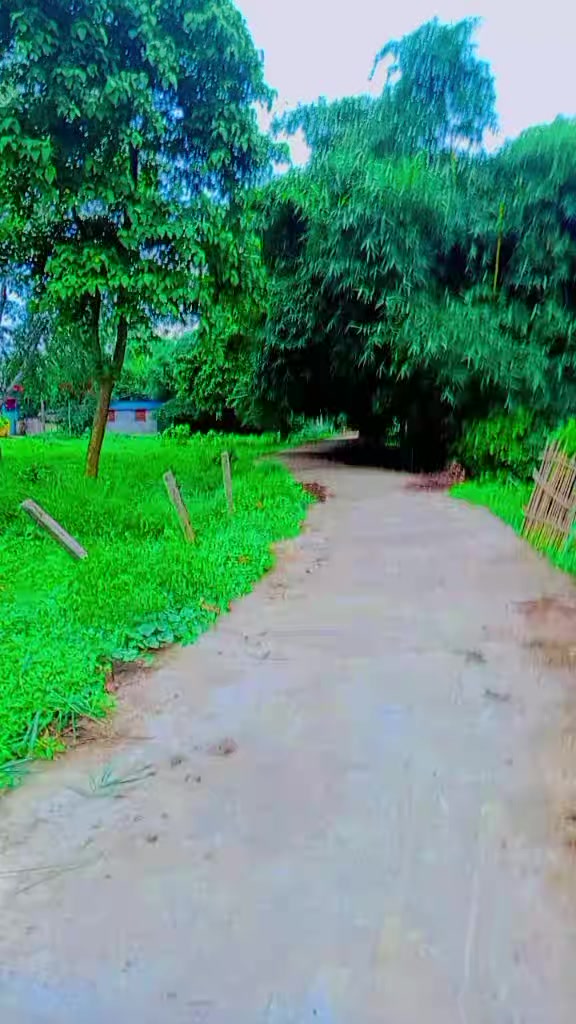 @Aashiksah