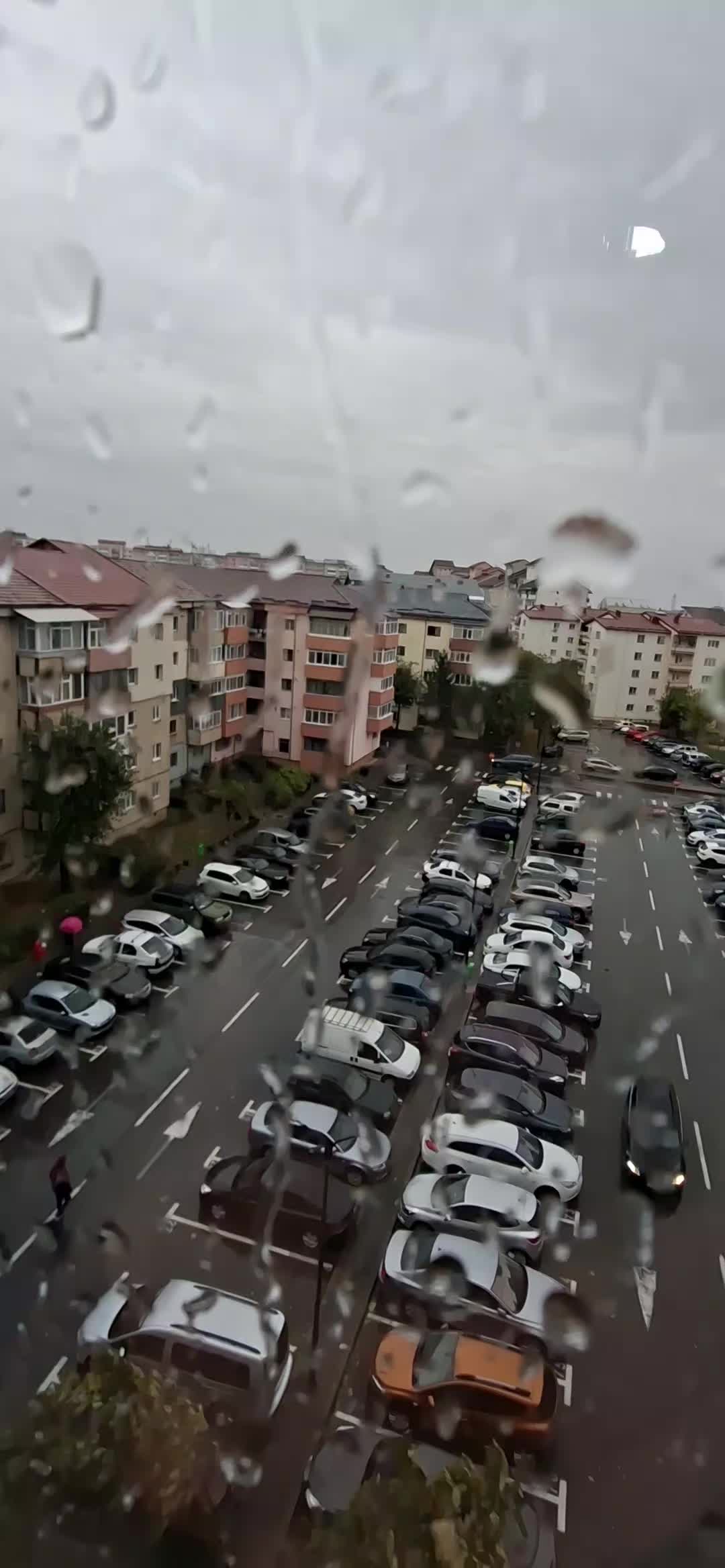 @§høgąrɗ