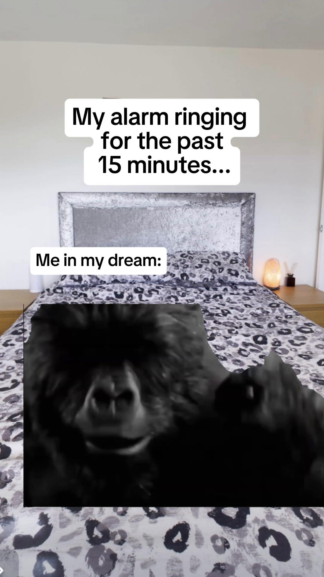 @SJ