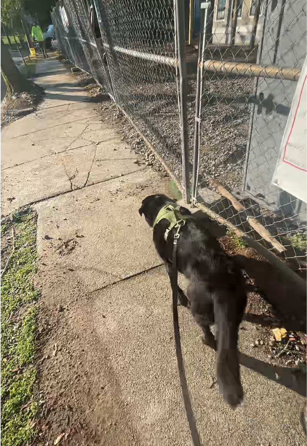 @rubenblacklab