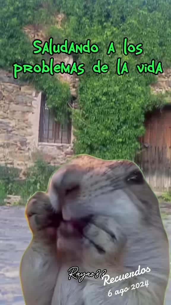@Jesús🇪🇸