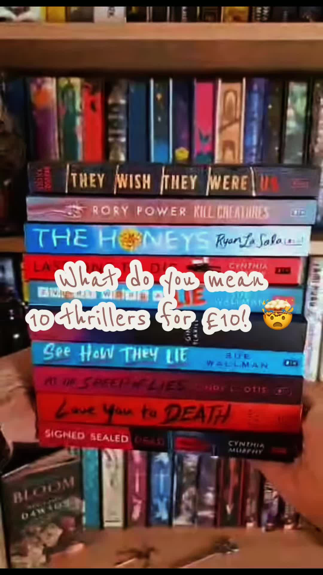 @Noelle📚 Book Recs & Writer