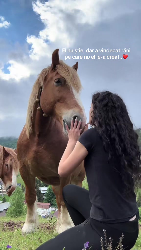 @Andrada❤️💫