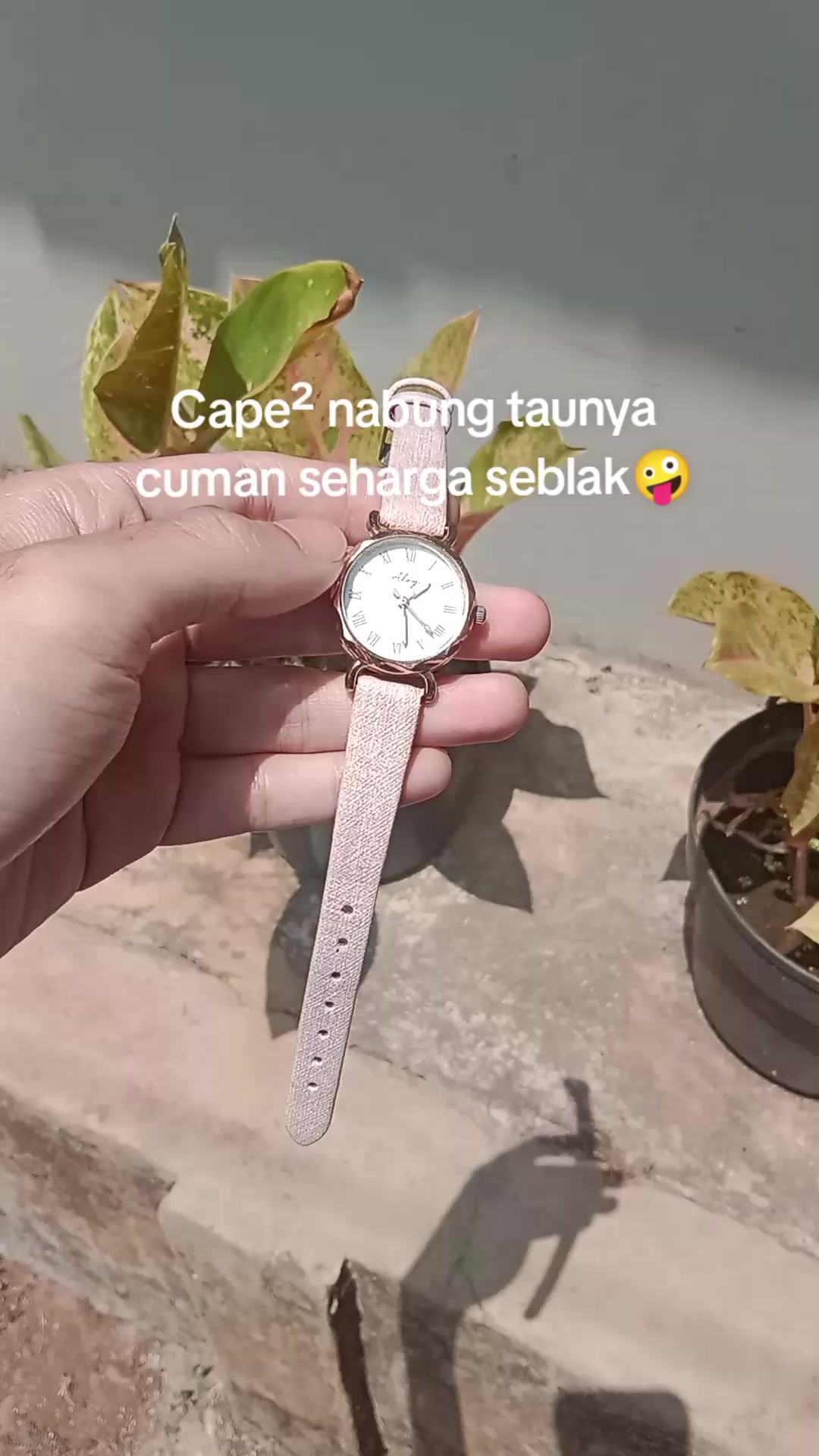 @S-tetik 🛒
