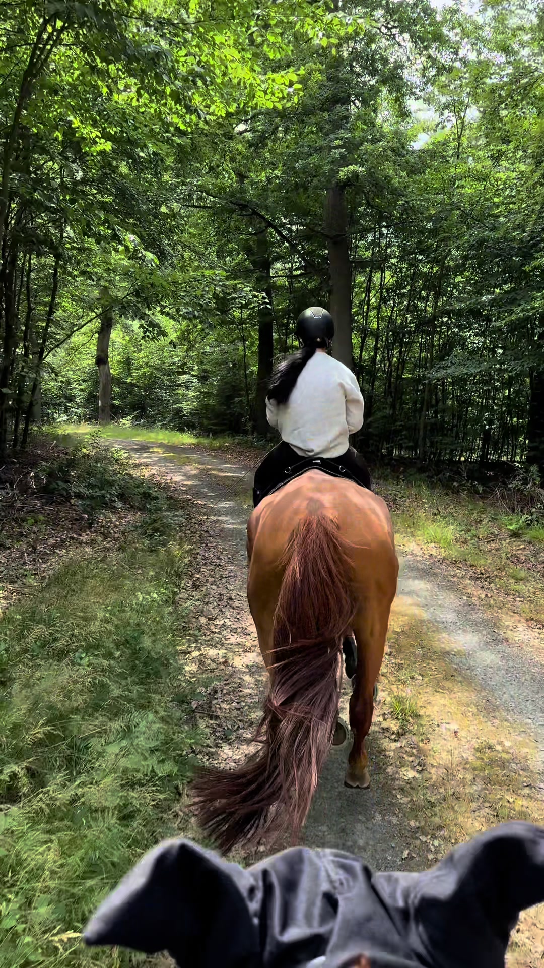 @annalisa.equestrian