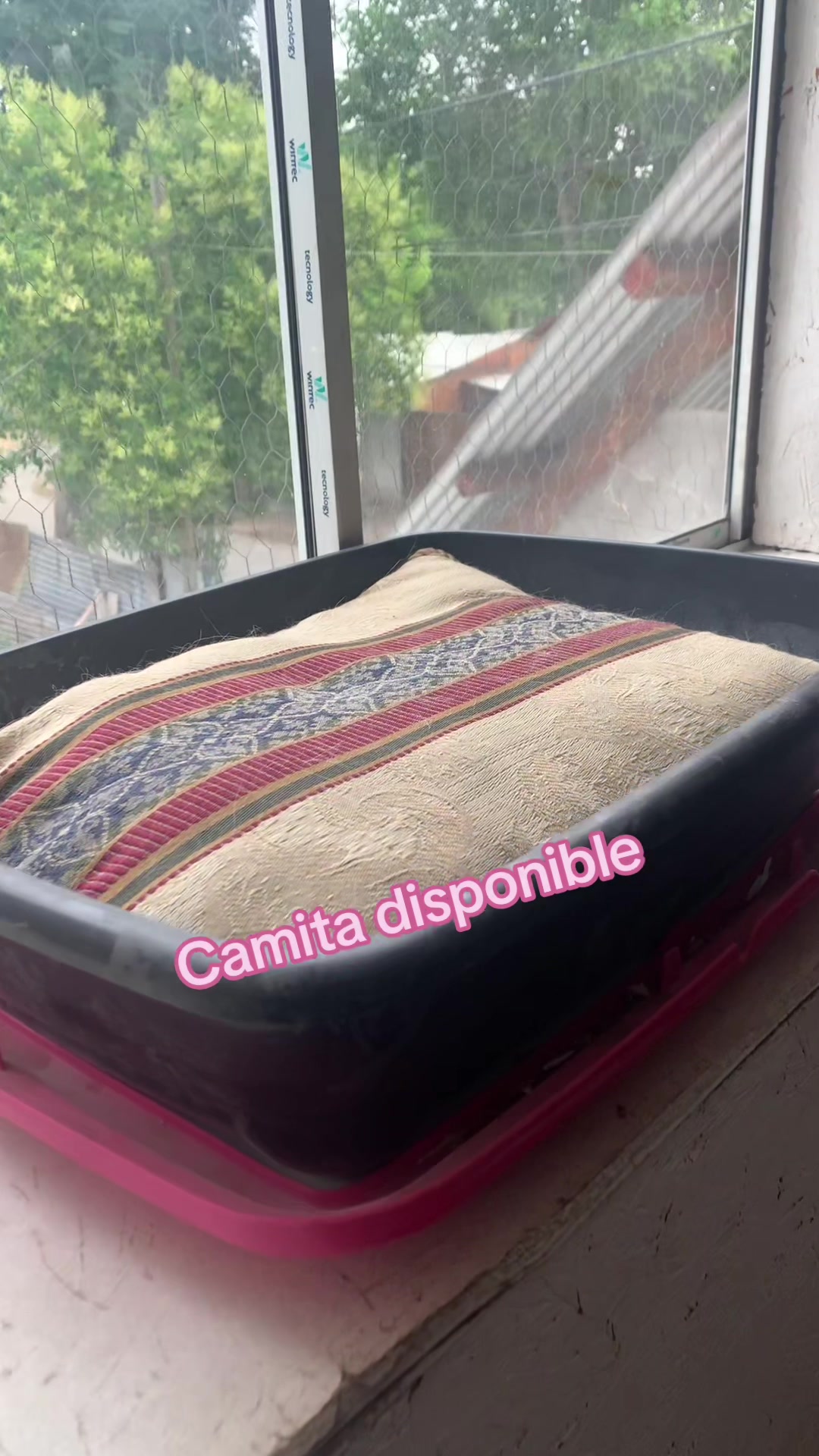 @Gatalinasmichis