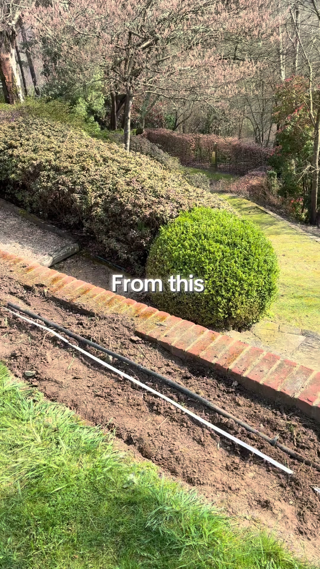 @All The Small Plants