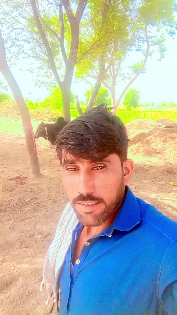 @Imran Ali